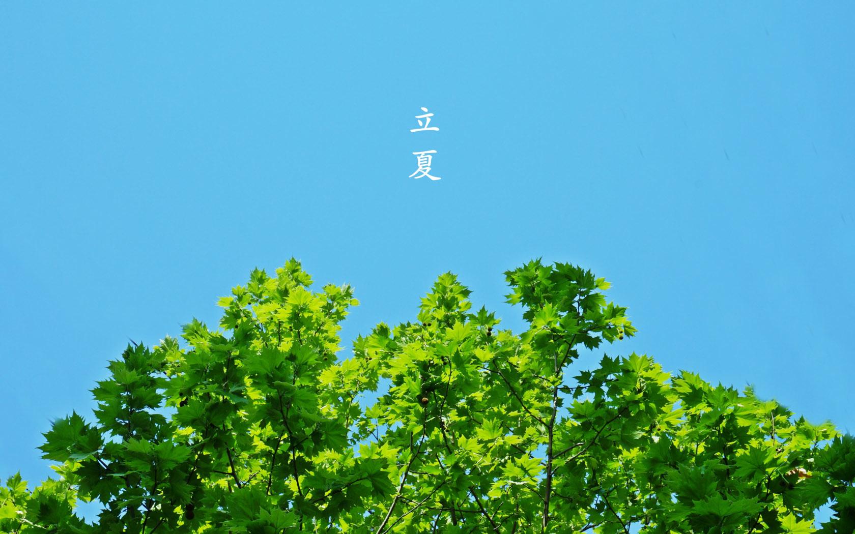 二十四節(jié)氣之立夏|萬(wàn)物始茂,忽而立夏氣脹軸安全夾頭糾偏系統(tǒng)廠家